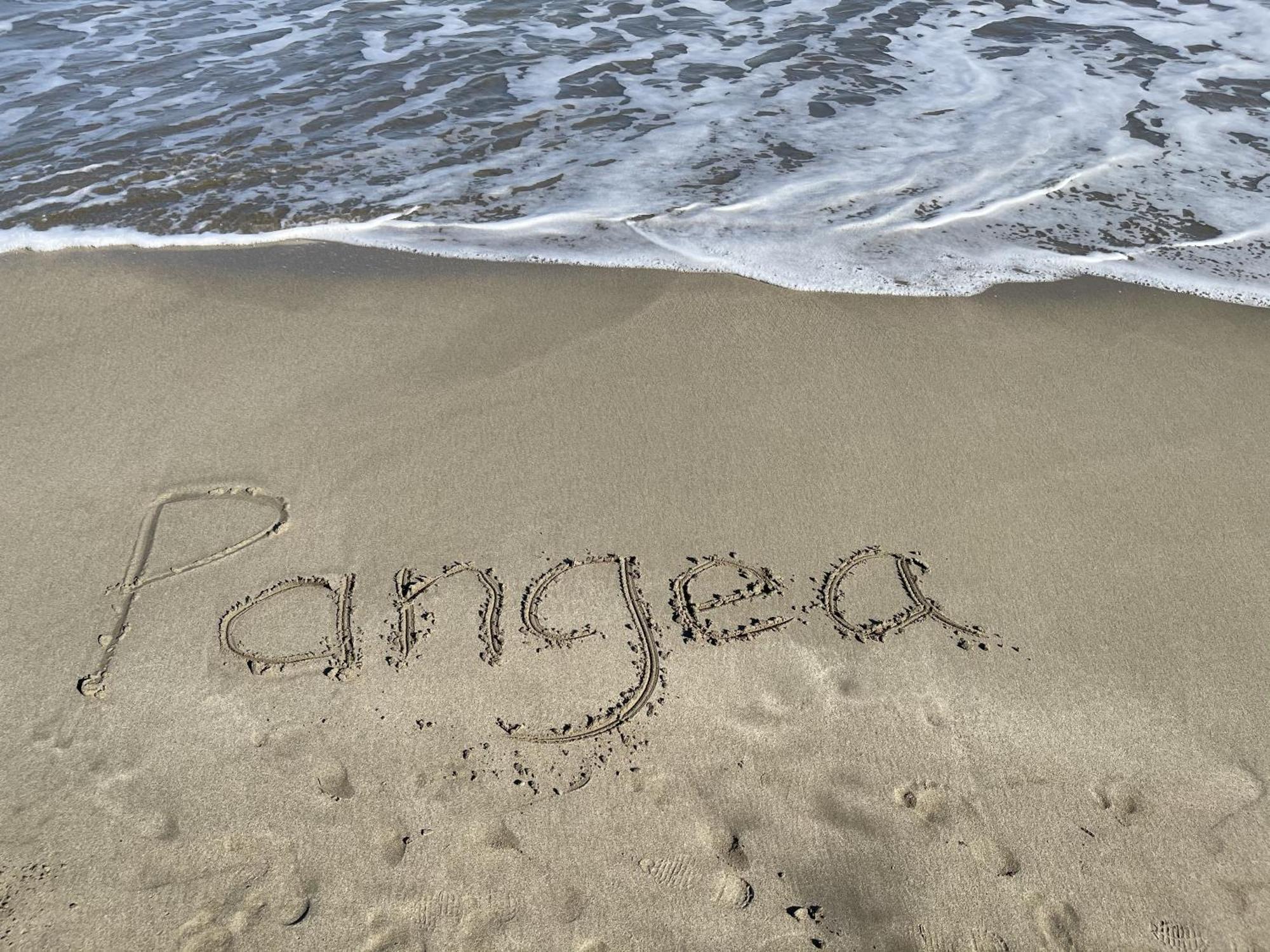 Casa Blanca Beachfront House With Shared Pool Access Pangea Lodge Manzanillo  Exteriér fotografie